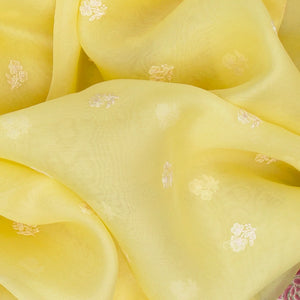 Light Yellow Organza Silk Saree With Meena Embroidered Motifs-Yellow