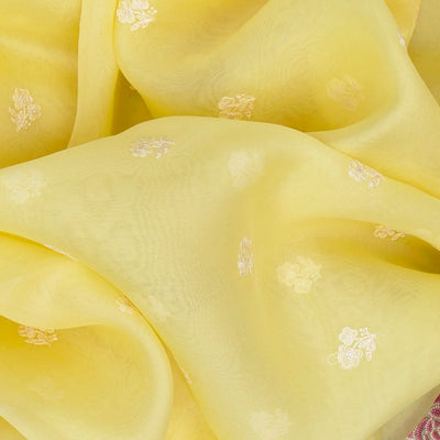 Light Yellow Organza Silk Saree With Meena Embroidered Motifs-Yellow