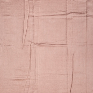 Dusty Pink Pure organza Saree Embroidered With Floral Motifs-Dusty Pink