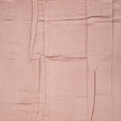 Dusty Pink Pure organza Saree Embroidered With Floral Motifs-Dusty Pink