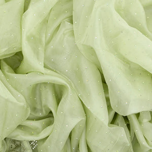 Mint Green Embroidered Cotton Saree With Stone Work Body-Mint Green