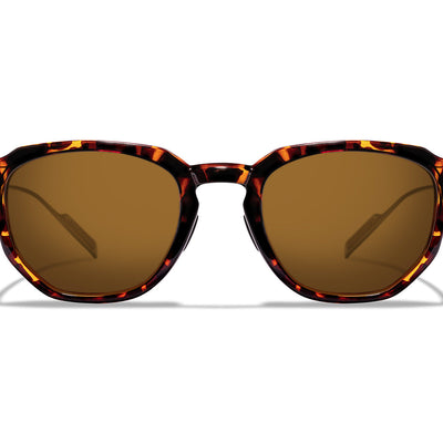 Evans Sunglasses Outlet