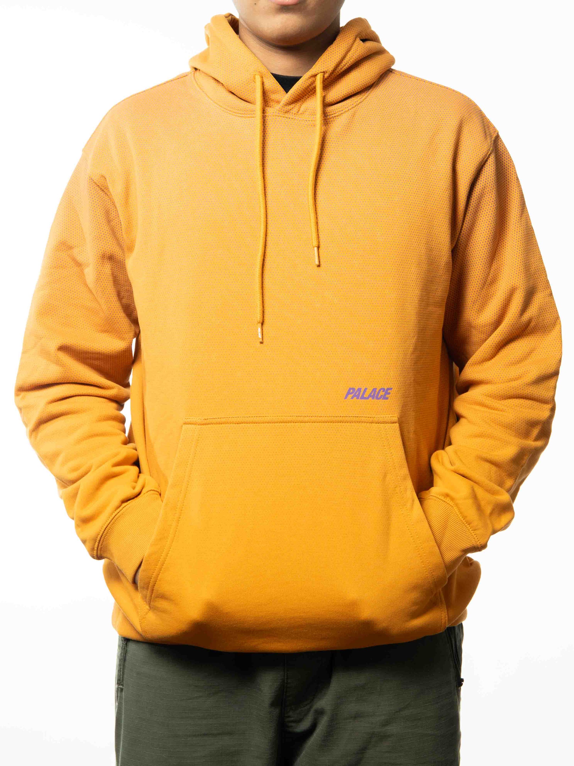 Palace AW17 tri flect hoodie