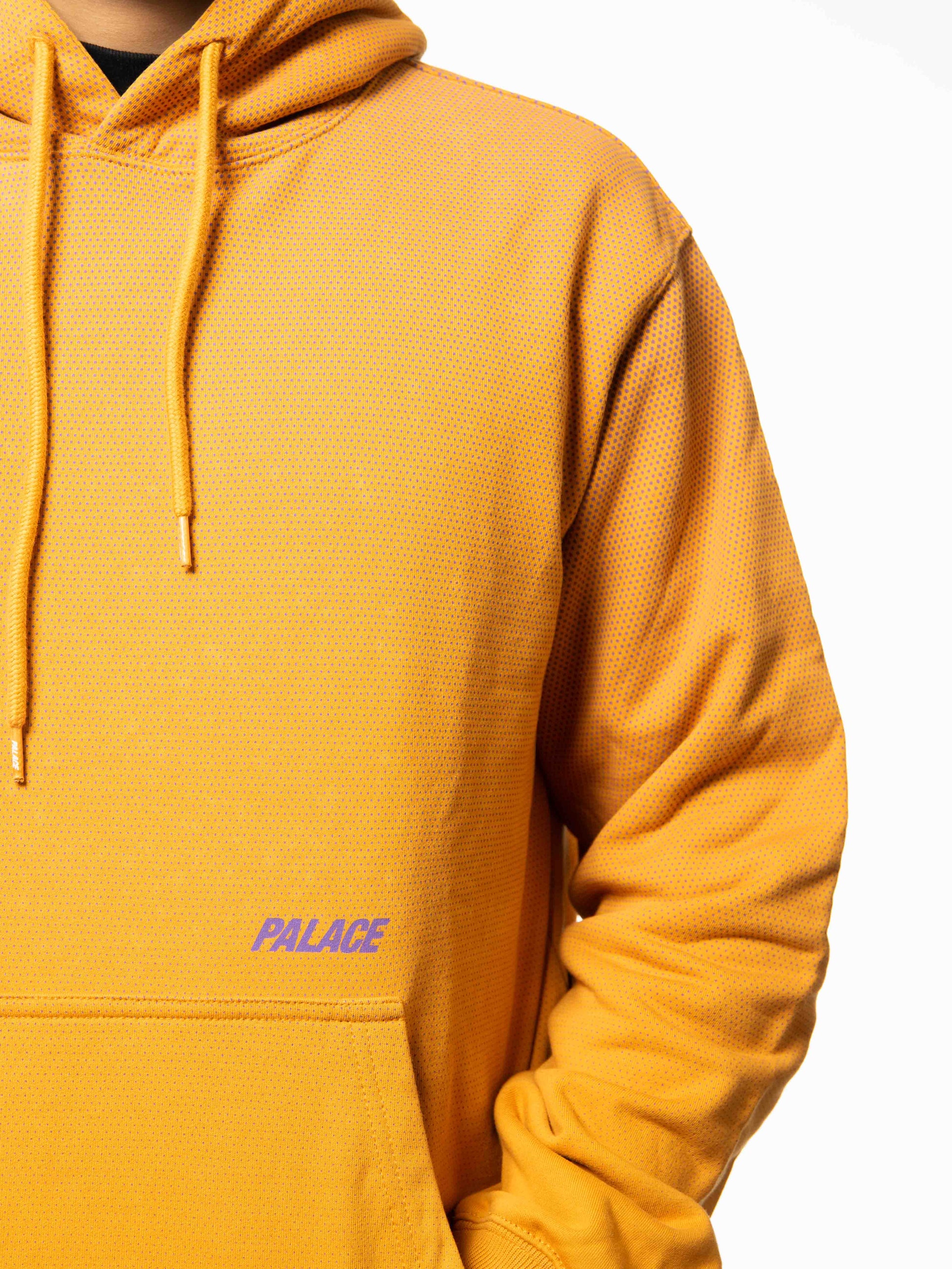 Palace AW17 tri flect hoodie