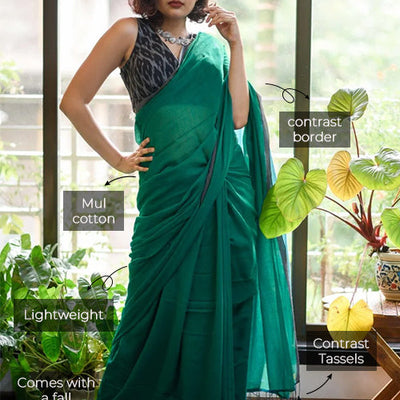Evergreen in Kerala