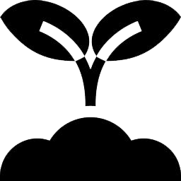 Beyond Type 1