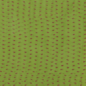 Hand block printed cotton saree