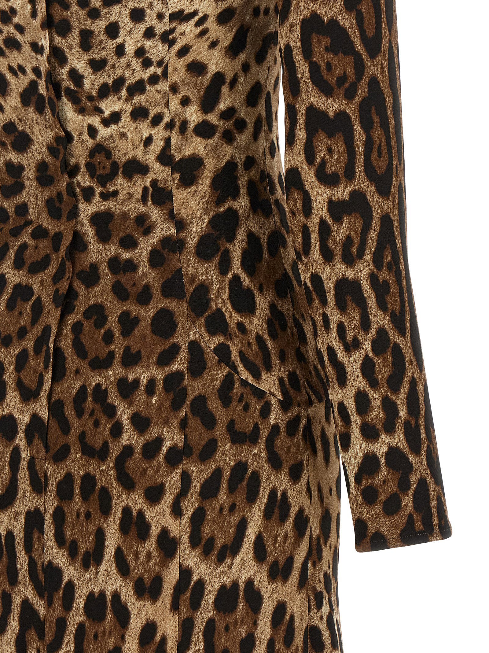 Dolce & Gabbana Animal Print Dress
