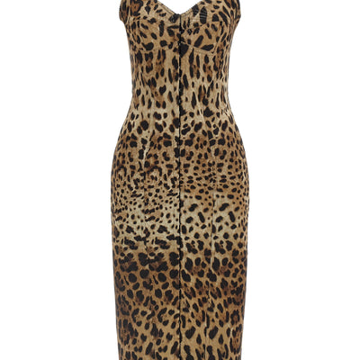 Dolce & Gabbana Animal-print Corset Dress