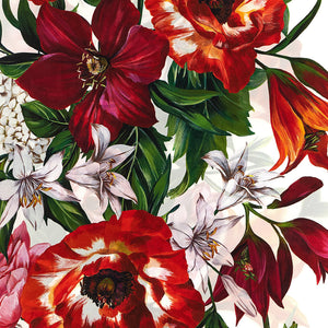 Dolce & Gabbana Floral Print Scarf