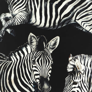 Dolce & Gabbana Zebra Print Scarf