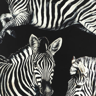 Dolce & Gabbana Zebra Print Scarf