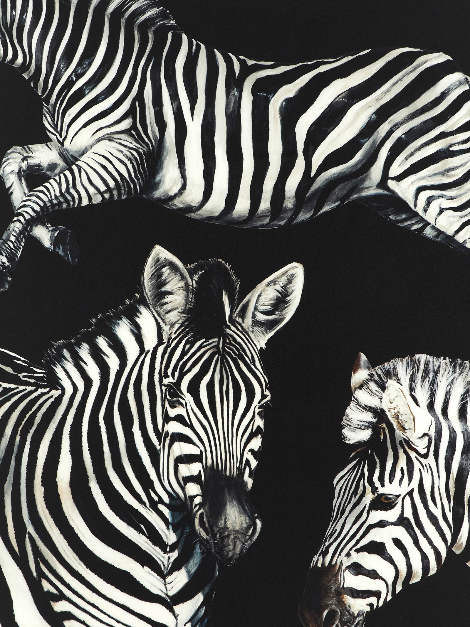 Dolce & Gabbana Zebra Print Scarf