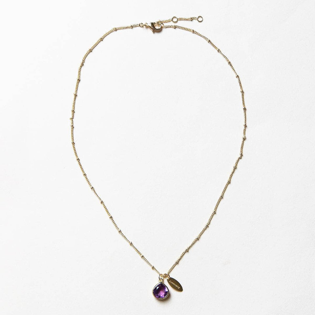 February Amethyst Birthstone Necklace