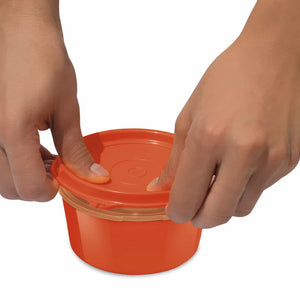 Flexi Lunchbox (Milton)