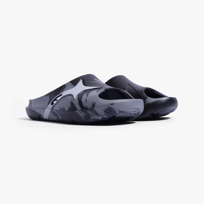 Slides LUNA