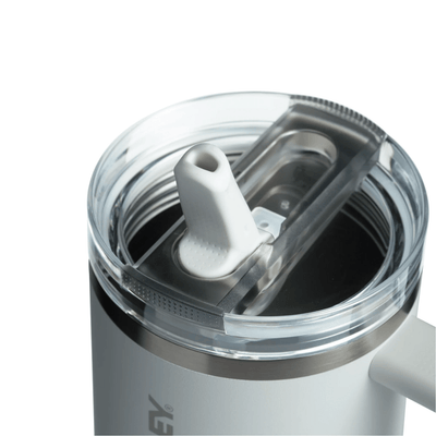 Stanley Quencher ProTour Flip Straw Tumbler | 40 OZ Frost