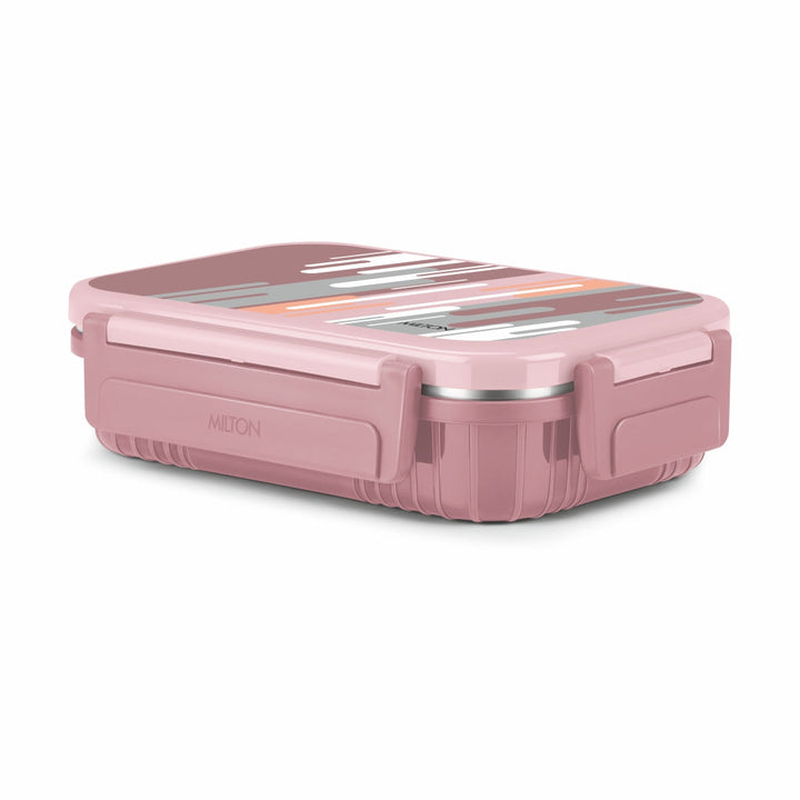 Fun Feast Lunch Box 2 compartments (Milton)