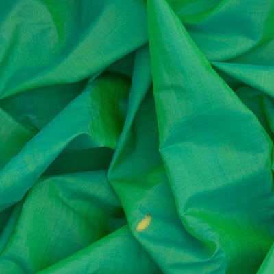 Sea Green Handloom Gadwal Silk Cotton Saree With Cream Border-Sea Green