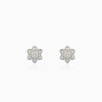Gold Bright Burst Diamond Earrings