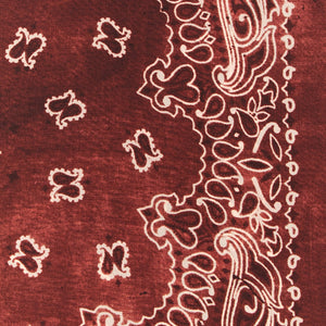 Golden Goose Paisley Scarf