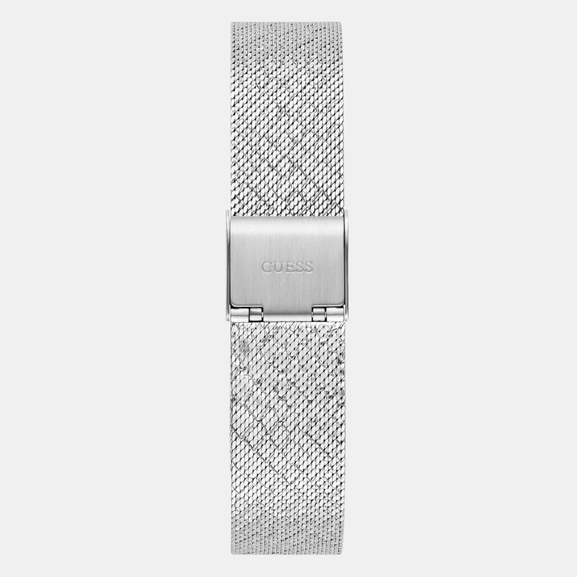 Boa Women Quartz Silver Dial Analog Mesh Watch GW0748L1