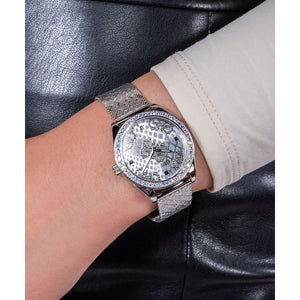 Boa Women Quartz Silver Dial Analog Mesh Watch GW0748L1