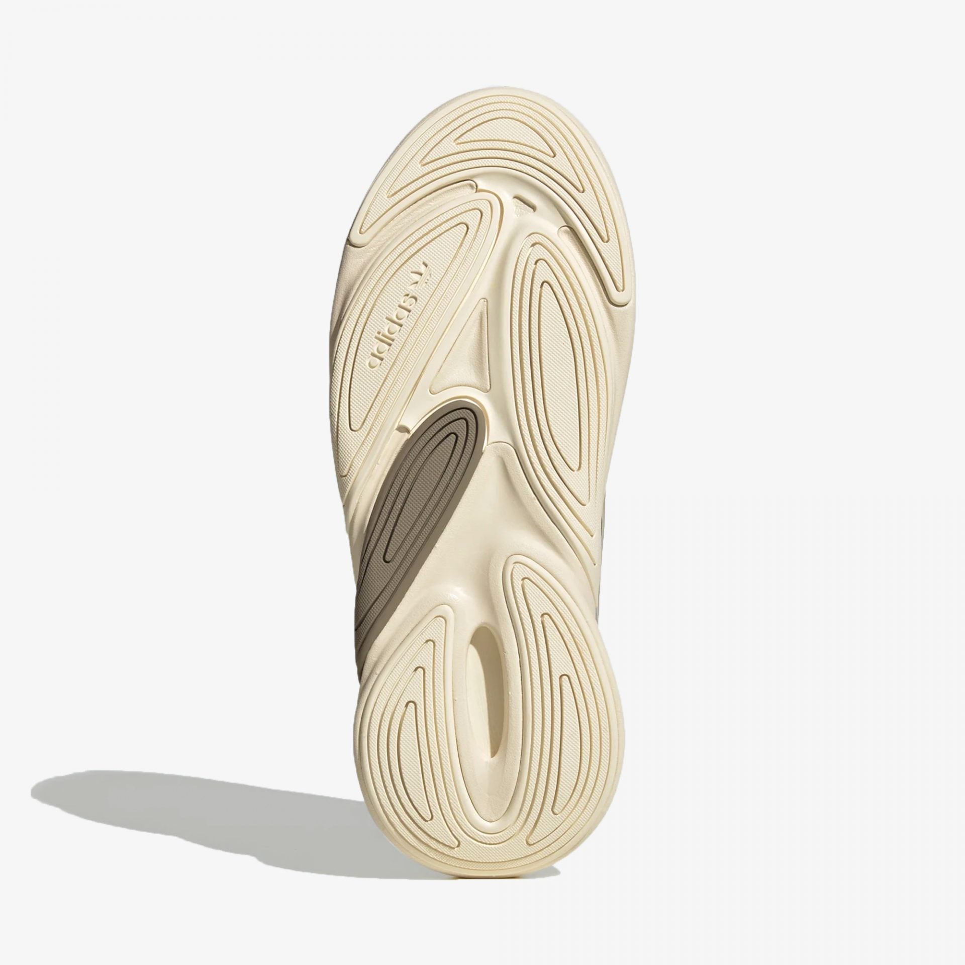 Adidas Originals | OZELIA W  { SIMPLE BROWN/WONDER WHITE