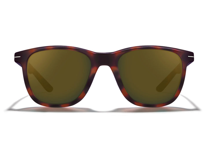 Halsey Sunglasses