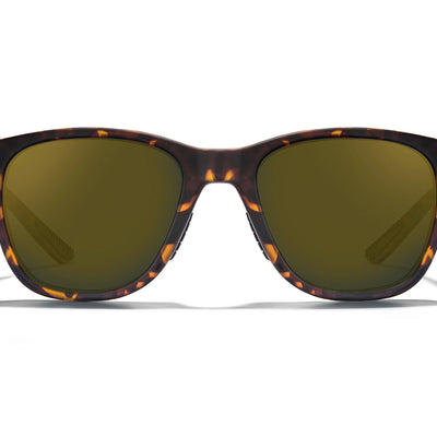 Halsey Sunglasses Outlet