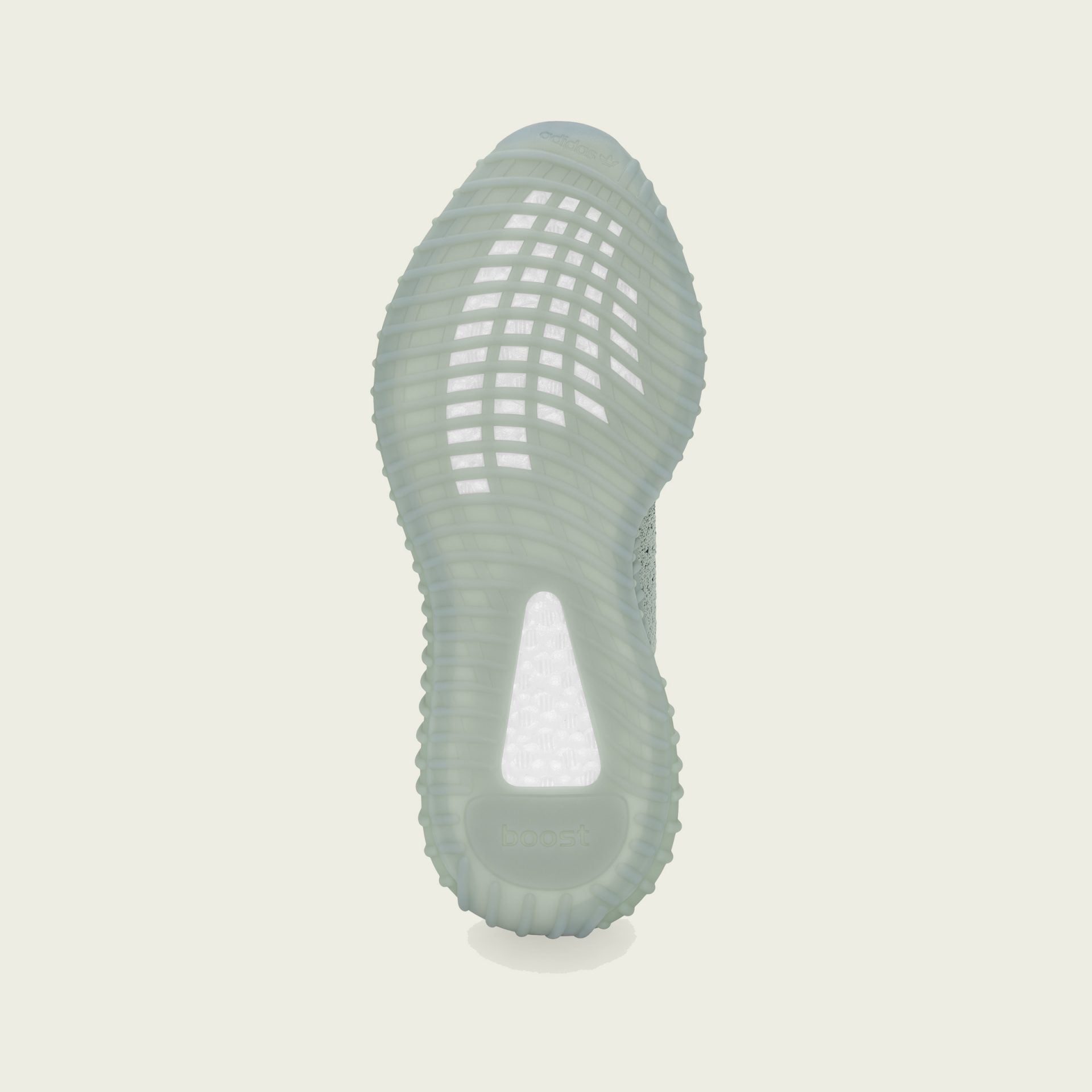 Adidas | YEEZY BOOST 350 V2  { SALT/CORE BLACK/SALT