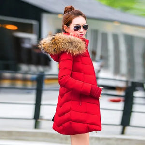 41838779891852|41838779924620|41838779957388|41838779990156|41838780022924|41838780055692