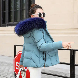 41838797455500|41838797488268|41838797521036|41838797586572|41838797619340|41838797652108