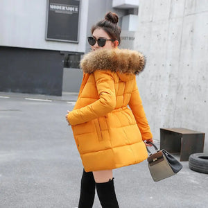 41838775173260|41838775206028|41838775238796|41838775271564|41838775304332|41838775402636