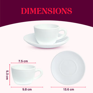 Larah By Borosil Feather Cup n Saucer Set