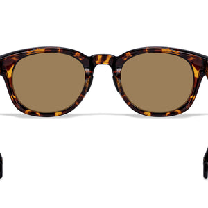 Hamilton Sunglasses Outlet