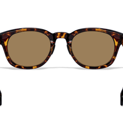 Hamilton Sunglasses Outlet