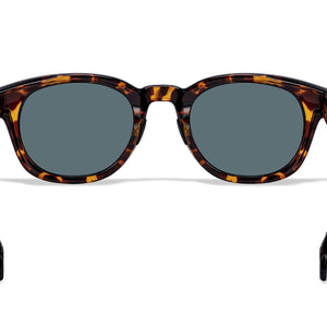 Hamilton Sunglasses Outlet