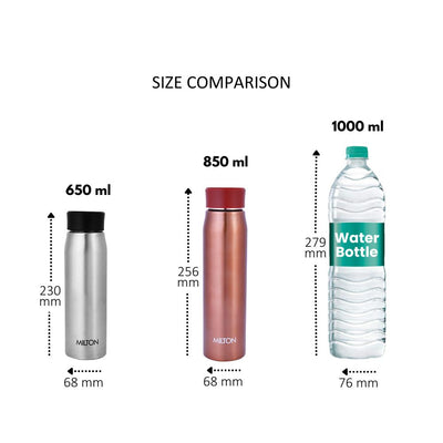 Handy 3D Design Stainless Steel Bottle (Milton)