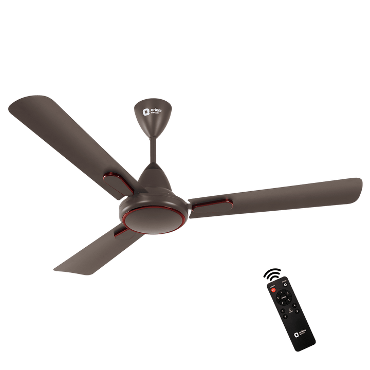 1200MM Hector Deco BLDC Ceiling Fan with Remote