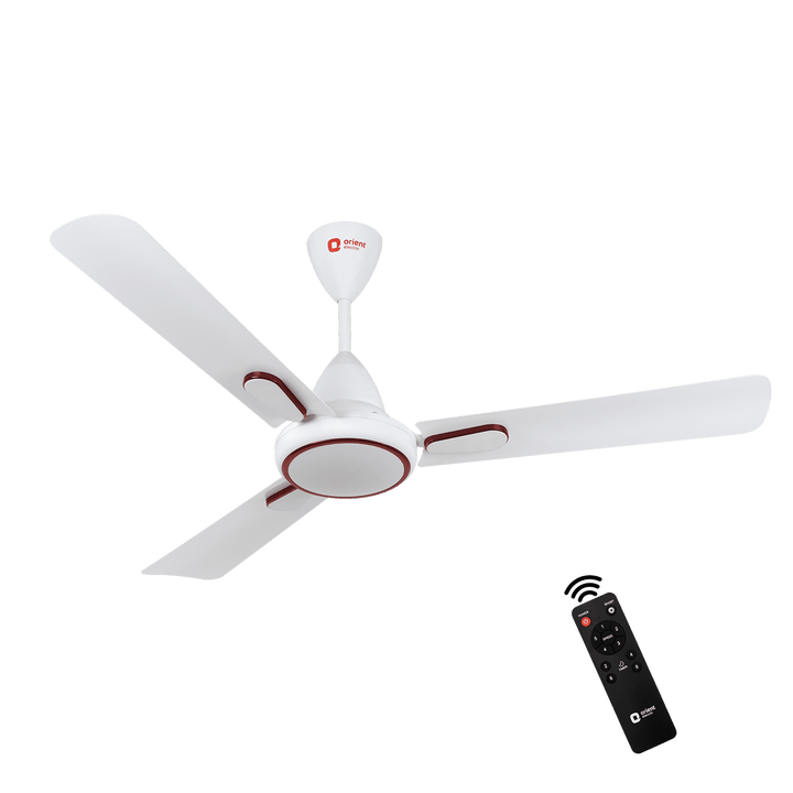 1200MM Hector Deco BLDC Ceiling Fan with Remote