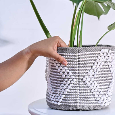 Trinket Cotton Planter