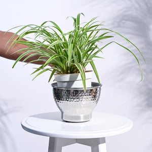 Elegance Planter