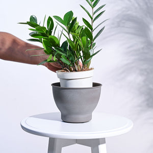 Gunmetal Goblet Planter