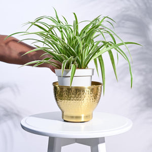 Elegance Planter