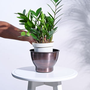 Gunmetal Goblet Planter