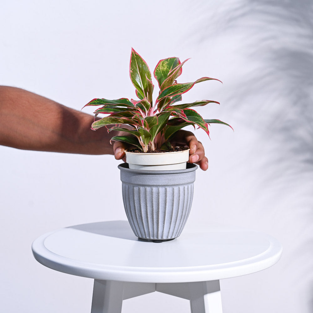 Pastel Ridge Heritage Planter