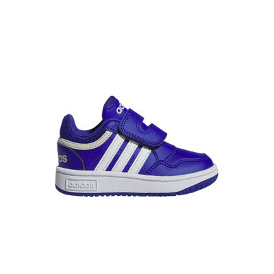 adidas Hoops Royal Blue Cloud White (TD)