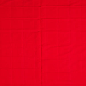 Red Handloom Rajkot Patola Silk Saree With Peacock Motifs-Red