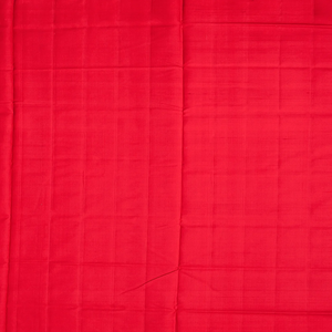 Cream Handloom Rajkot Patola Silk Saree With Floral Motifs-Cream